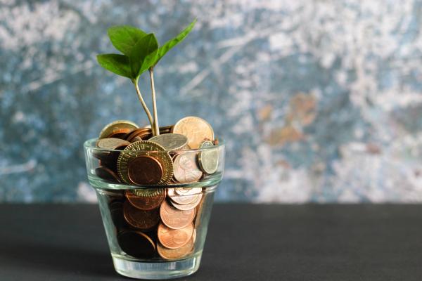 Image of a glass holding coins with a plant growing out of it